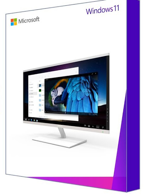 windows 11 home instant delivery